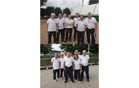 Championnat des clubs